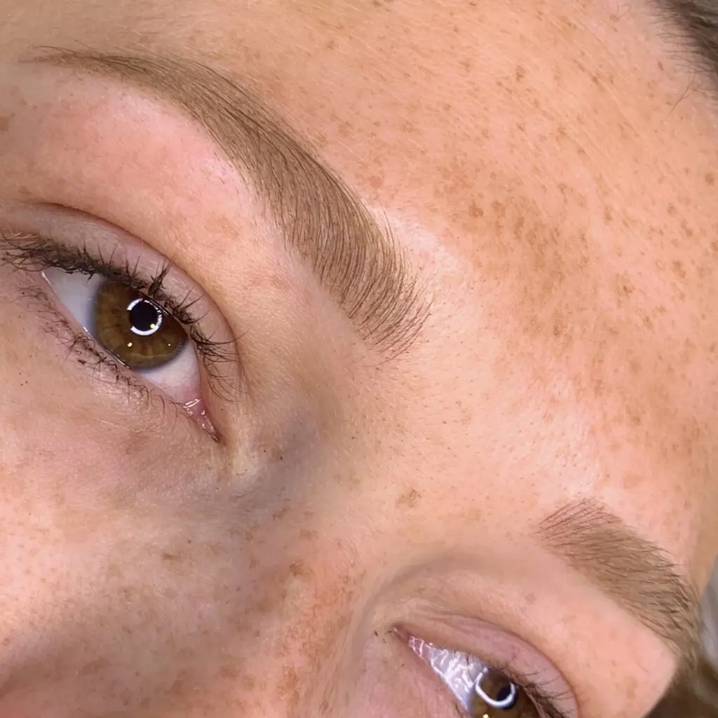 Powder Brows vs Microblading